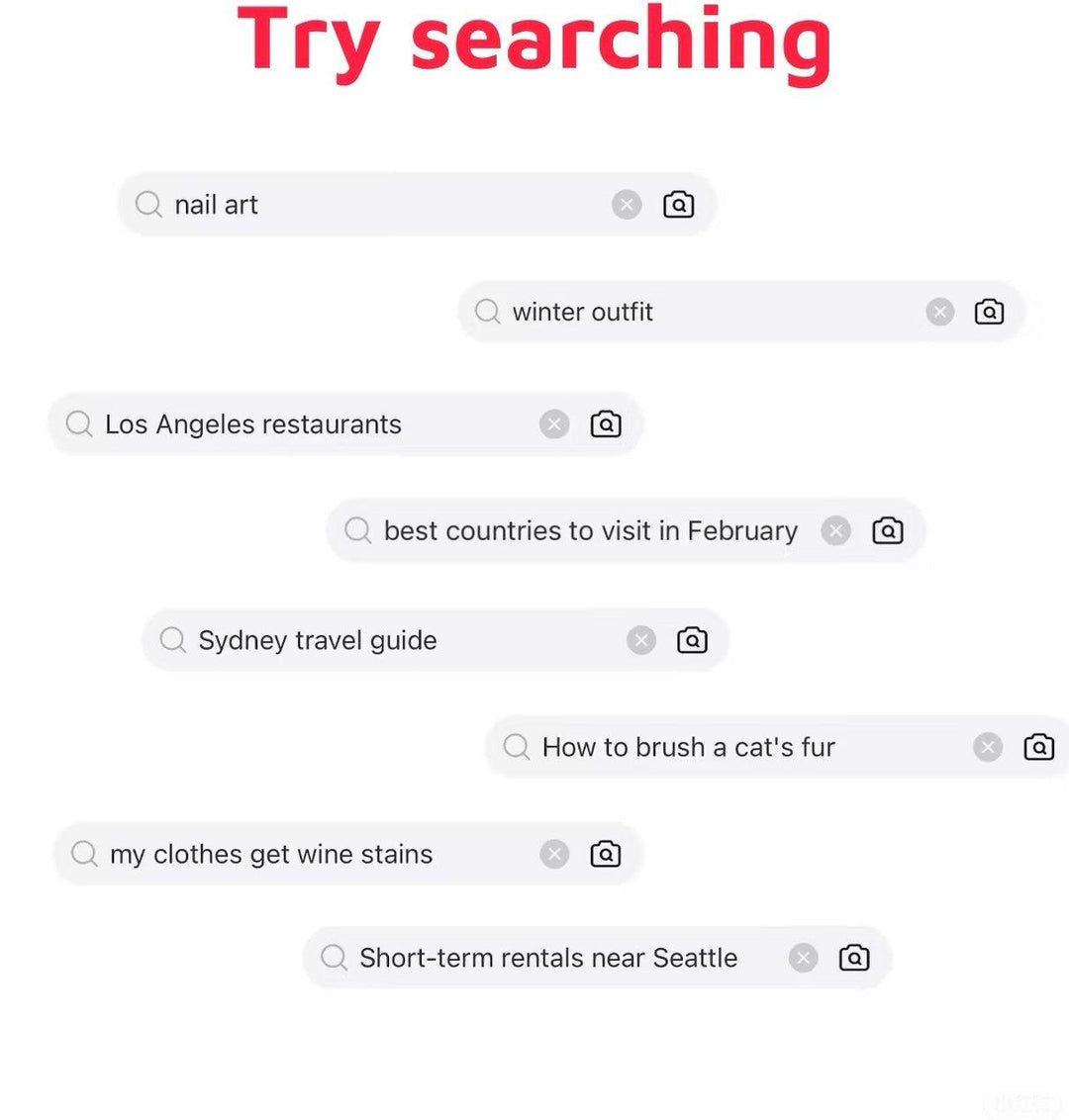 TikTok is Back But Americans are Staying on Chinese RedNote